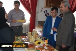 جشنواره غذا