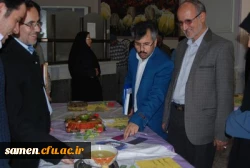 جشنواره غذا