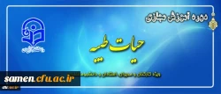 جشنواره حیات طیبه 94
