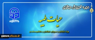 جشنواره های آموزشی مجازی با رویکردی به طرح معرفتی حیات طیبه تابستان 94

ویژه کارکنان و مدیران،اساتید ودانشجومعلمان