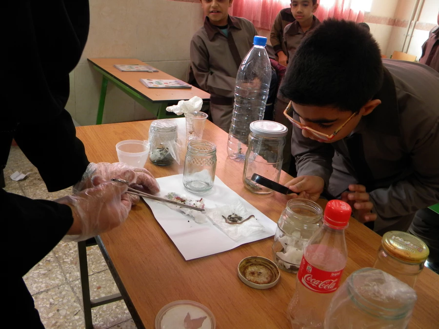 منتخبین جشنوتره عکس کارورزی