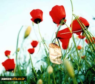 ویژه دانشجویان پیوسته و ناپیوسته 

اطلاعیه ثبت اطلاعات دانشجویان شاهد و ایثارگر (پیوسته و ناپیوسته)