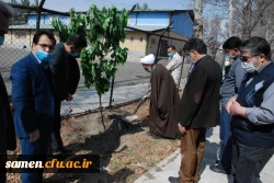 کاشت درخت در دانشگاه  به مناسبت  روز درخت کاری  2