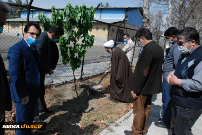 کاشت درخت در دانشگاه  به مناسبت  روز درخت کاری 