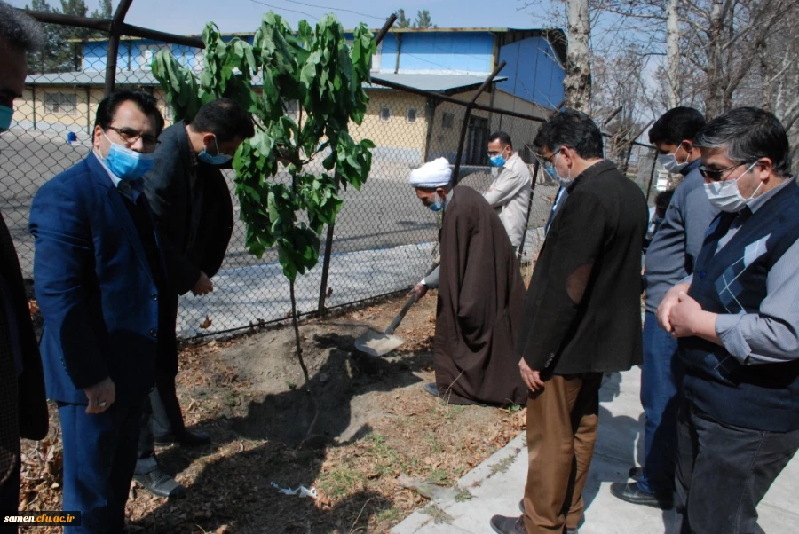 کاشت درخت در دانشگاه  به مناسبت  روز درخت کاری  2
