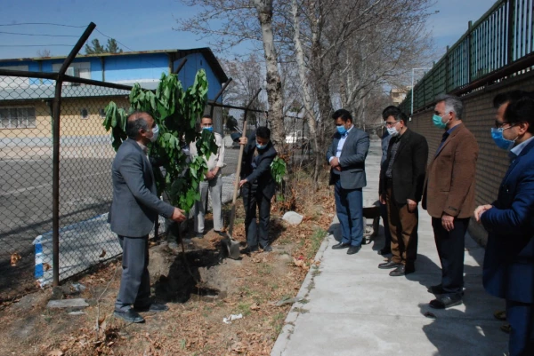 کاشت درخت در دانشگاه  به مناسبت  روز درخت کاری  4