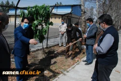 روز درخت کاری و کاشت نهال توسط در محوطه دانشگاه