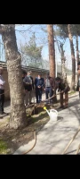 برگزاری آئین گرامی داشت روز درخت و درختکاری در واحد دانشگاهی ثامن الحجج (ع).