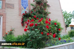 به روایت تصویر