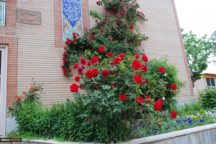 به روایت تصویر