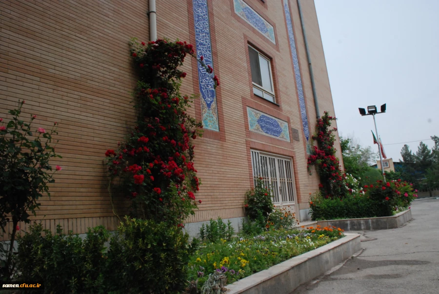 لنز دوربین 2