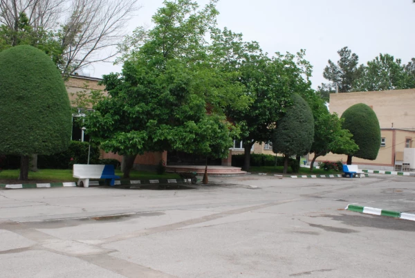 لنز دوربین 3