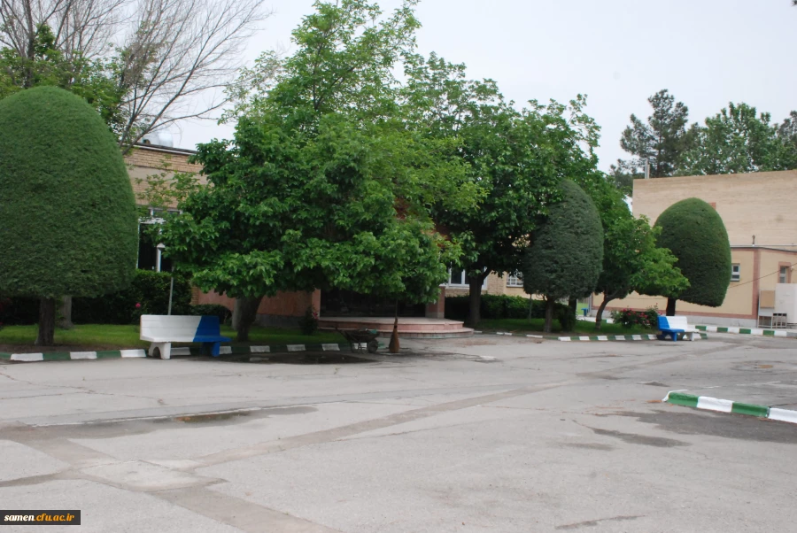 لنز دوربین 3