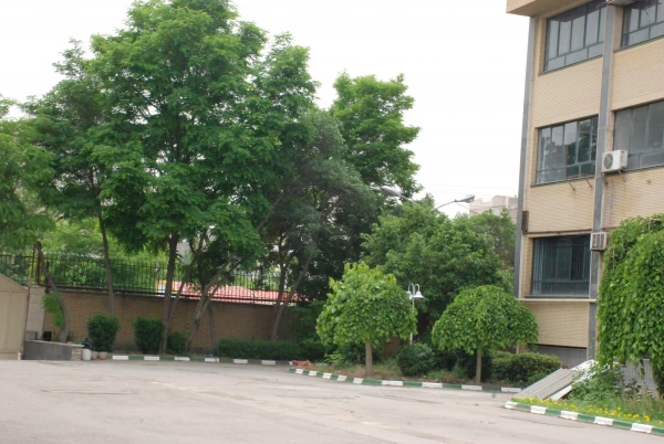 لنز دوربین 4