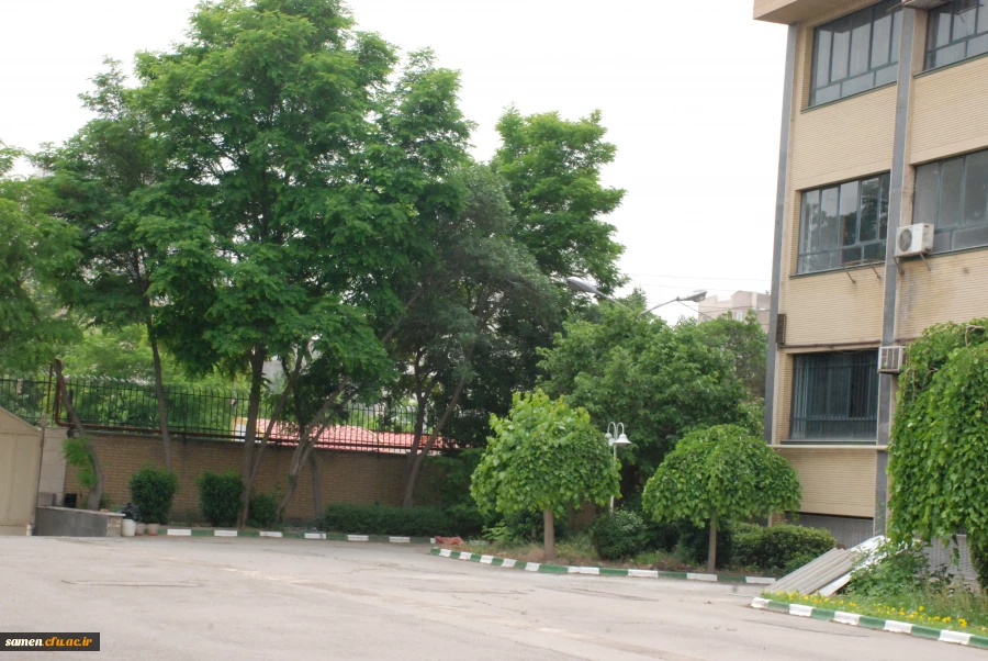 لنز دوربین 4