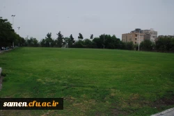 لنز دوربین 5