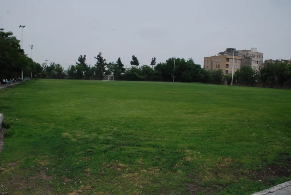 لنز دوربین 5