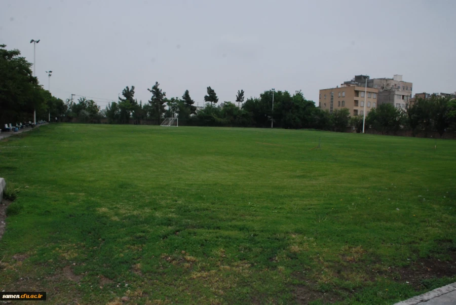 لنز دوربین 5