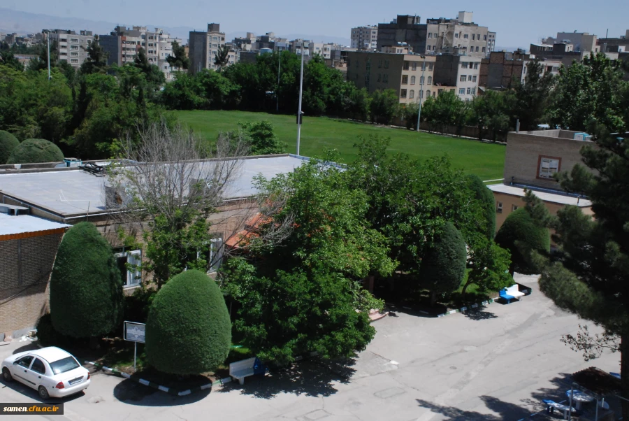 لنز دوربین 7