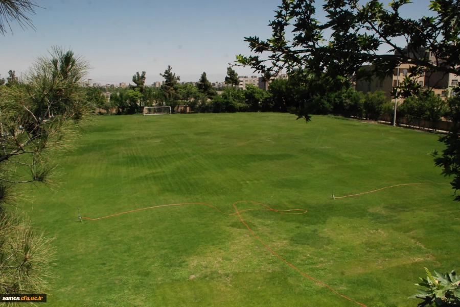 لنز دوربین 9