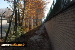 پائیز از لنز دوربین 2