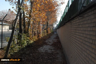 پائیز از لنز دوربین