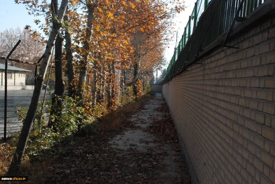 پائیز از لنز دوربین 2