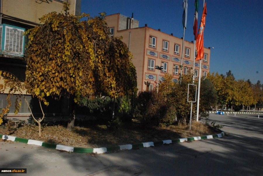 پائیز از لنز دوربین 3