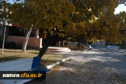 پائیز از لنز دوربین 4