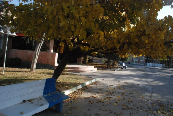 پائیز از لنز دوربین 4