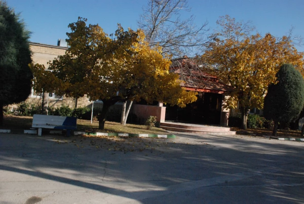 پائیز از لنز دوربین 5