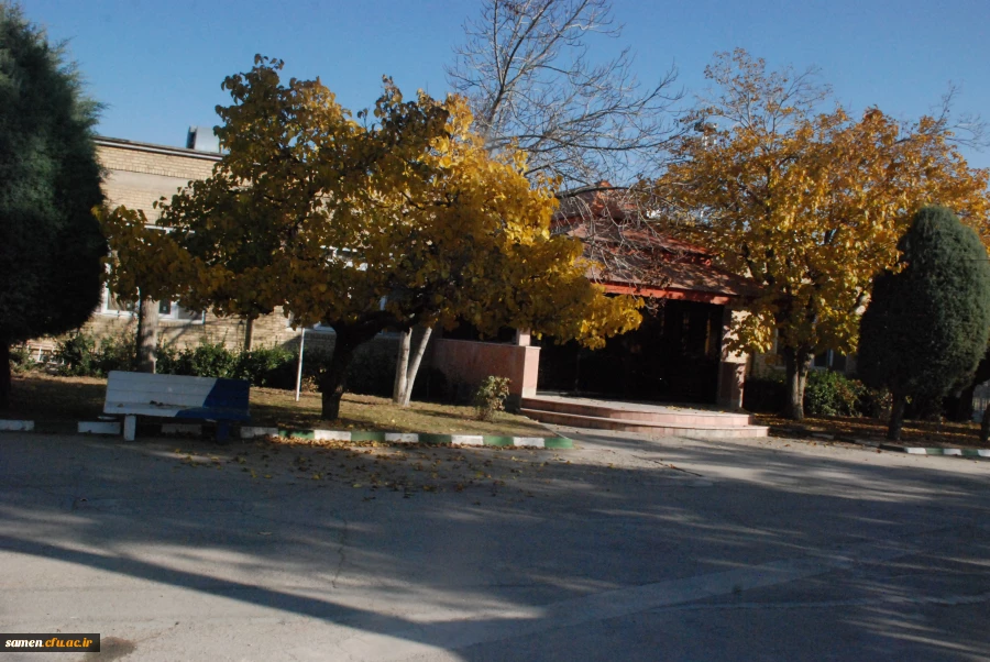 پائیز از لنز دوربین 5