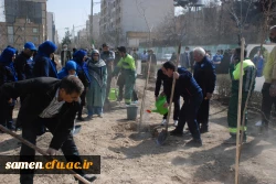 کاشت 110 اصله نهال به همت شهرداری منطقه 11 مشهد و مشارکت دانشگاه فرهنگیان-  واحد دانشگاهی ثامن الحجج(ع) مشهد 9