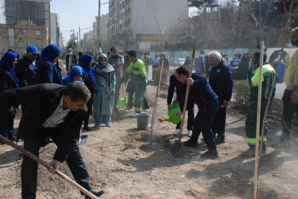  کاشت 110 اصله نهال به همت شهرداری منطقه 11 مشهد و مشارکت دانشگاه فرهنگیان-  واحد دانشگاهی ثامن الحجج(ع) مشهد 9