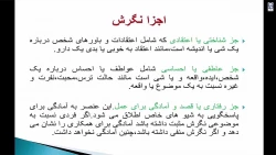 رشته مراقب سلامت ماده 28 6